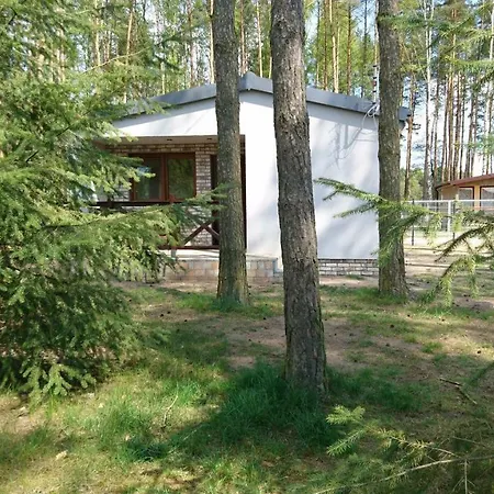 Domek Letniskowy Szwed-Pol Kujan Esterno foto