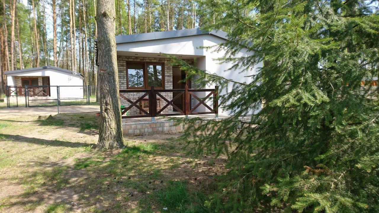 Letniskowy Szwed-pol Kujan
