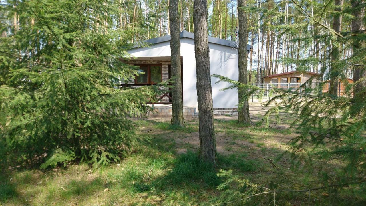 Letniskowy Szwed-pol